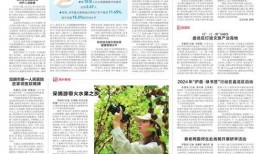 致远最新爆料新闻报道内容,揭秘重大新闻事件内幕